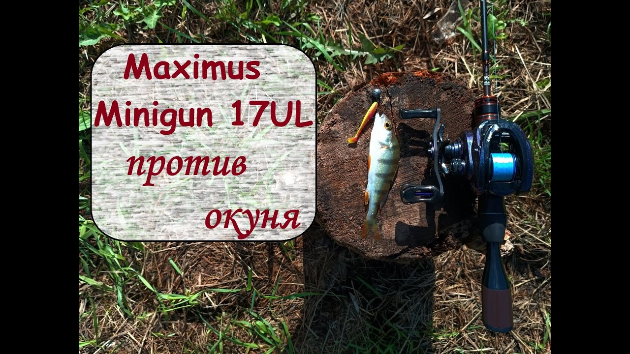 Maximus Minigun 17UL против окуня