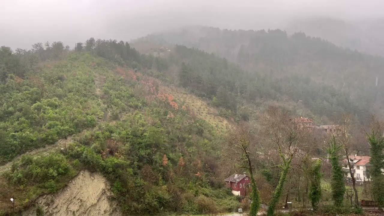 🏔️Relaxing Rain Sounds Against Misty Mountains 