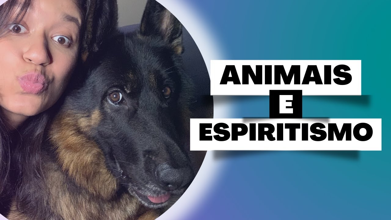 OS ANIMAIS NO PLANO ESPIRITUAL - ANIMAIS E ESPIRITISMO