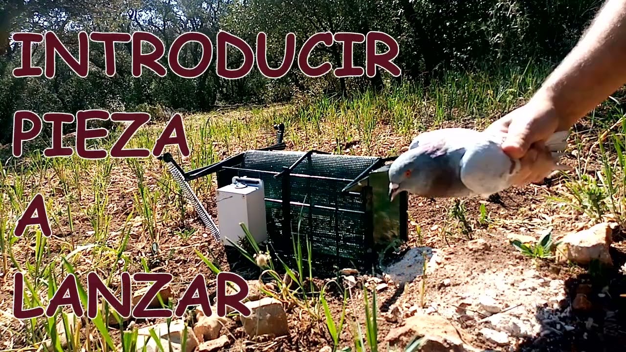 FUNCIONAMIENTO  LANZADERA