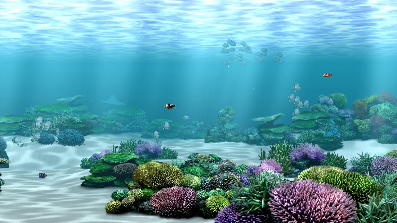 Aquazone Open Waters (4K)
