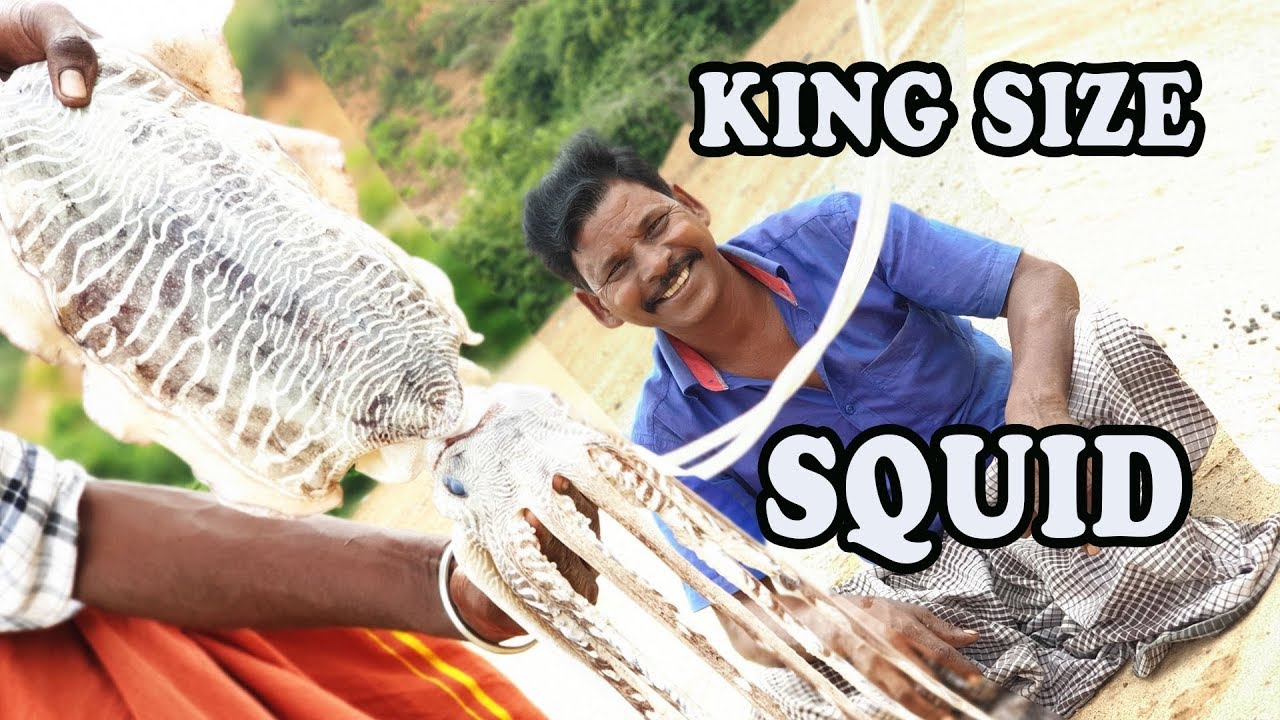 GIANT SQUID 65 BIRYANI | பிரமாண்டமான கனவா 65 பிரியாணி