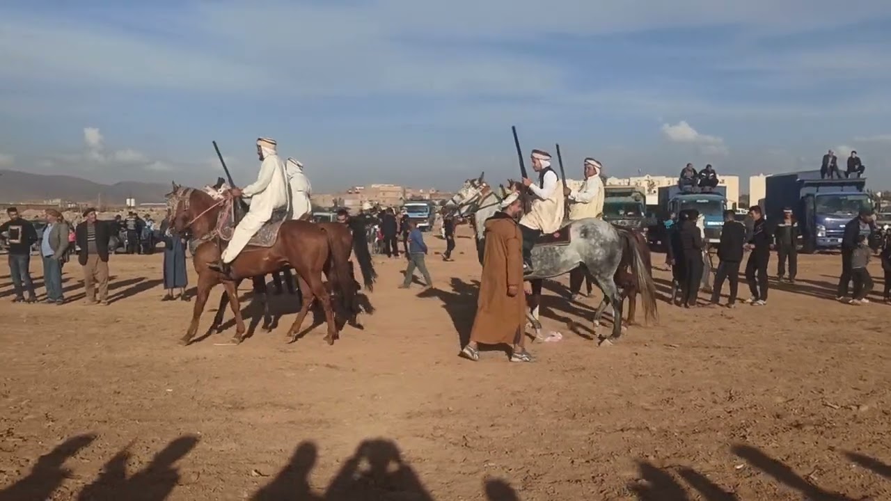 تمرينات الشباب في الفروسية اليوم بمناسبة أول نوفمبر عيد الثورة الجزائرية جنوب سطيف  2024/11/02