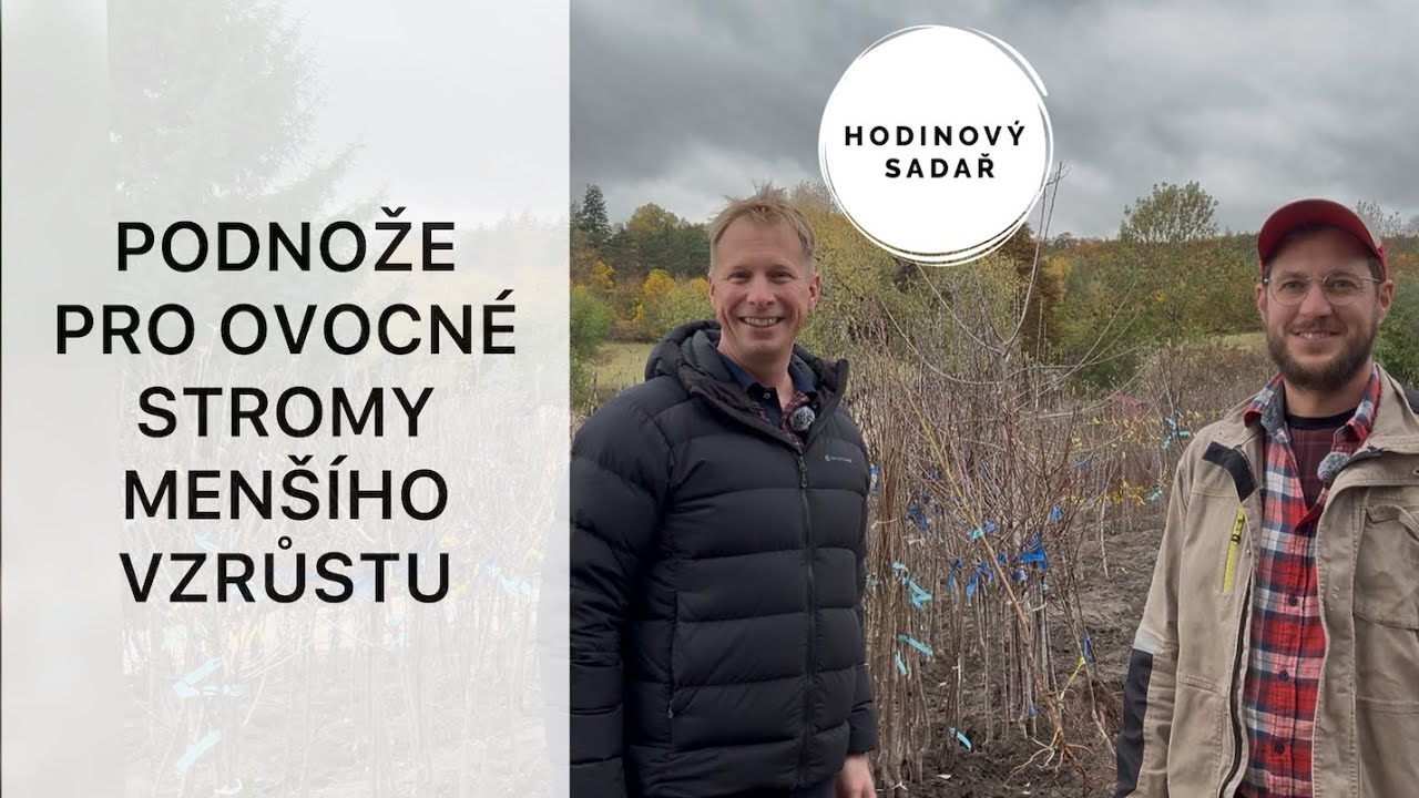 🌳 Rozhovor s jakubem Buřilem - Ovocné školky Buřil 🌳
