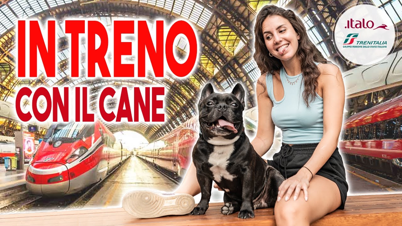 COME VIAGGIARE IN TRENO CON IL CANE 🚂🐶