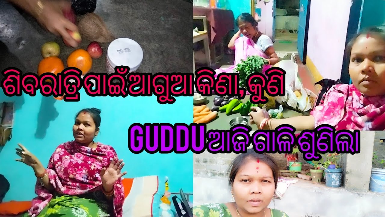 Guddu ଆଜି ଗାଳି ଶୁଣିଲା...#familyvlog #odia #odialifestylevlog #rabindrasumivlog 