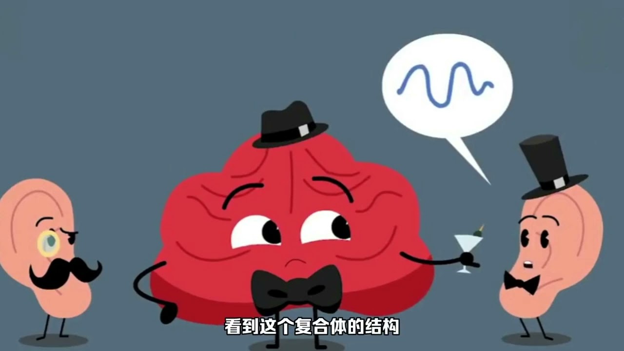 科学家发现听觉的微观机制 揭示内耳关键结构