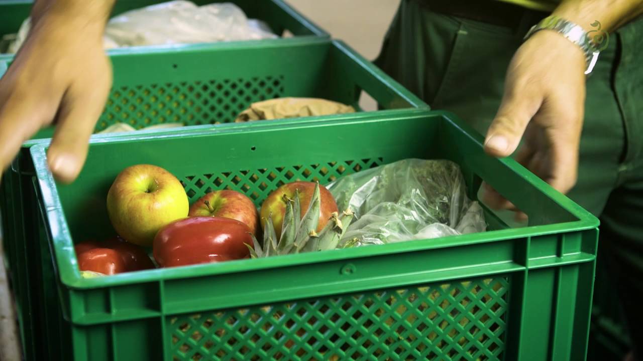 Paradieschen Lieferservice - Wie kommt die Biokiste zum Kunden? Bioabo