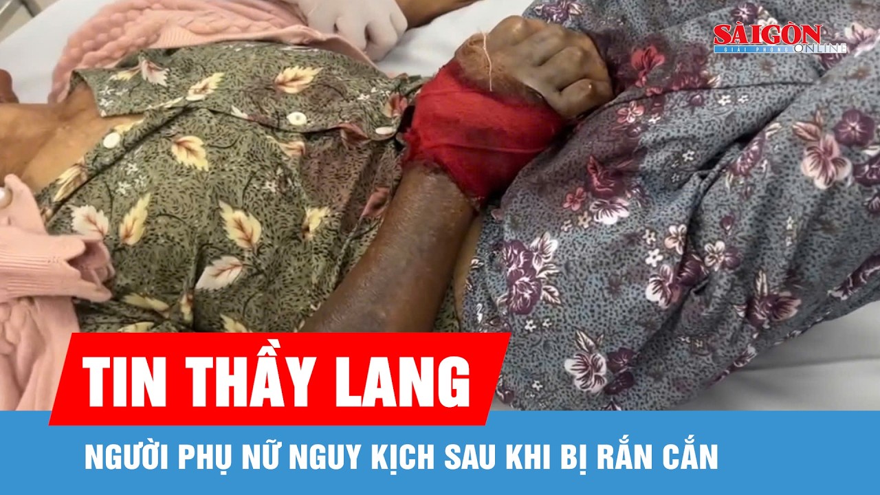Tin thầy lang, người phụ nữ nguy kịch sau khi bị rắn cắn