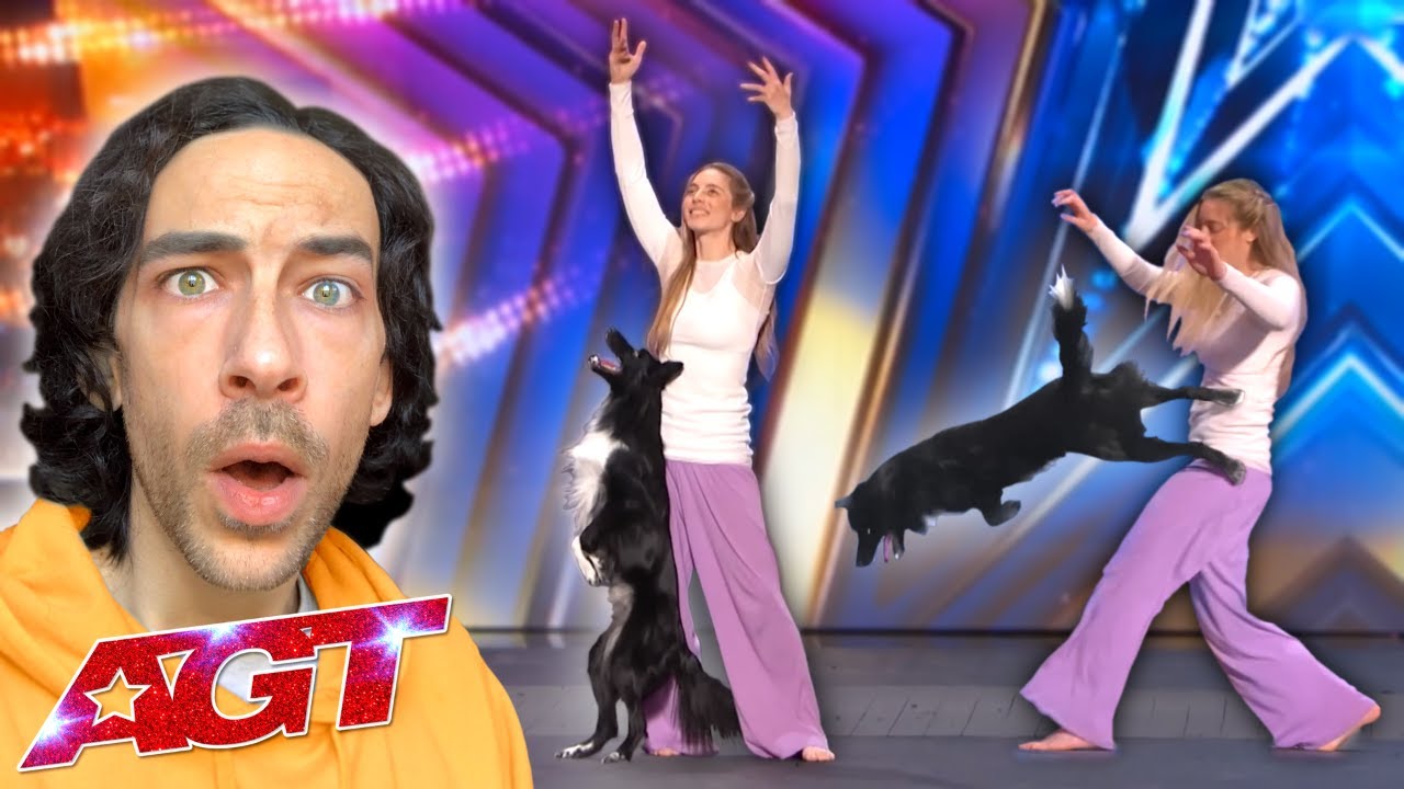 ADDESTRATORE REAGISCE a RONI SAGI @ America's Got Talent 2024 | Auditions