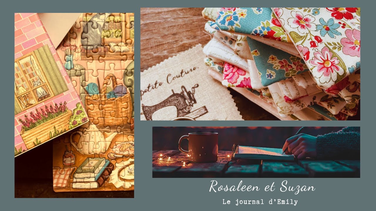 Journal d'Emily ? Boutique ? projet couture au long cours, balade #prendreletemps#ralentir