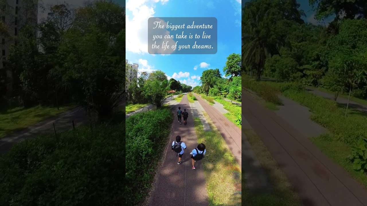 The Green Corridor #singaporenature #wildlifesingapore #singaporereservoir #singaporetour