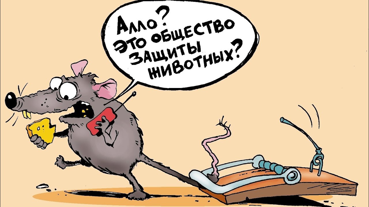 ‼️Кто вам крадники лепил, да себя погубил?❌👿