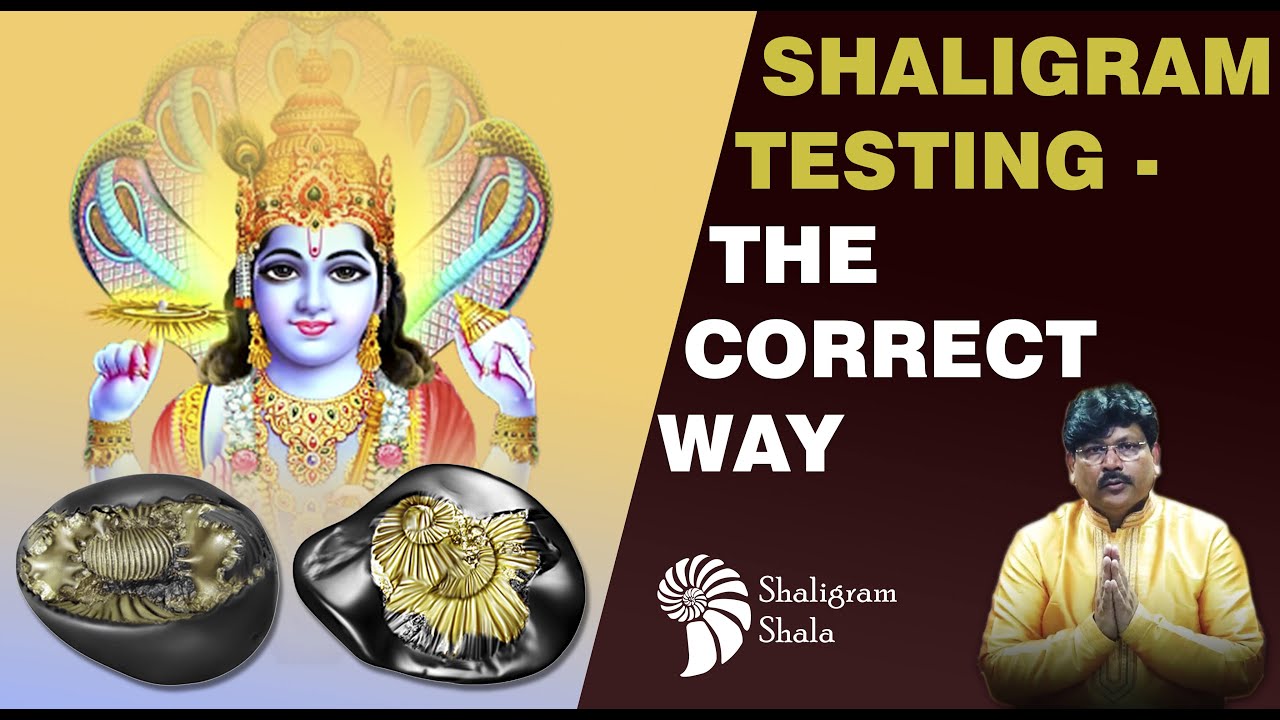 HOW TO IDENTIFY GENUINE SHALIGRAM SHILA  - असली शालिग्राम शीला की पहचान कैसे करे?
