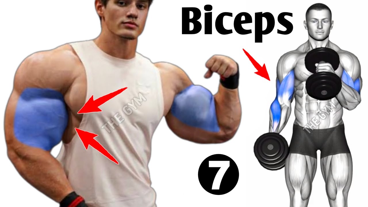 7 Effective Biceps Exercises At Gym - Biceps Workout