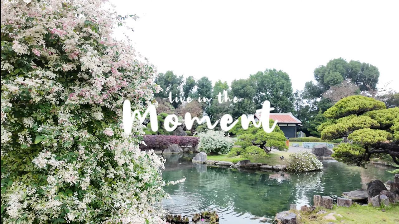 噗龍共🏔️彰化永靖 X 成美文化園 X 魏記牛肉麵水餃 X 興隆種苗園 X 三代蔥油餅