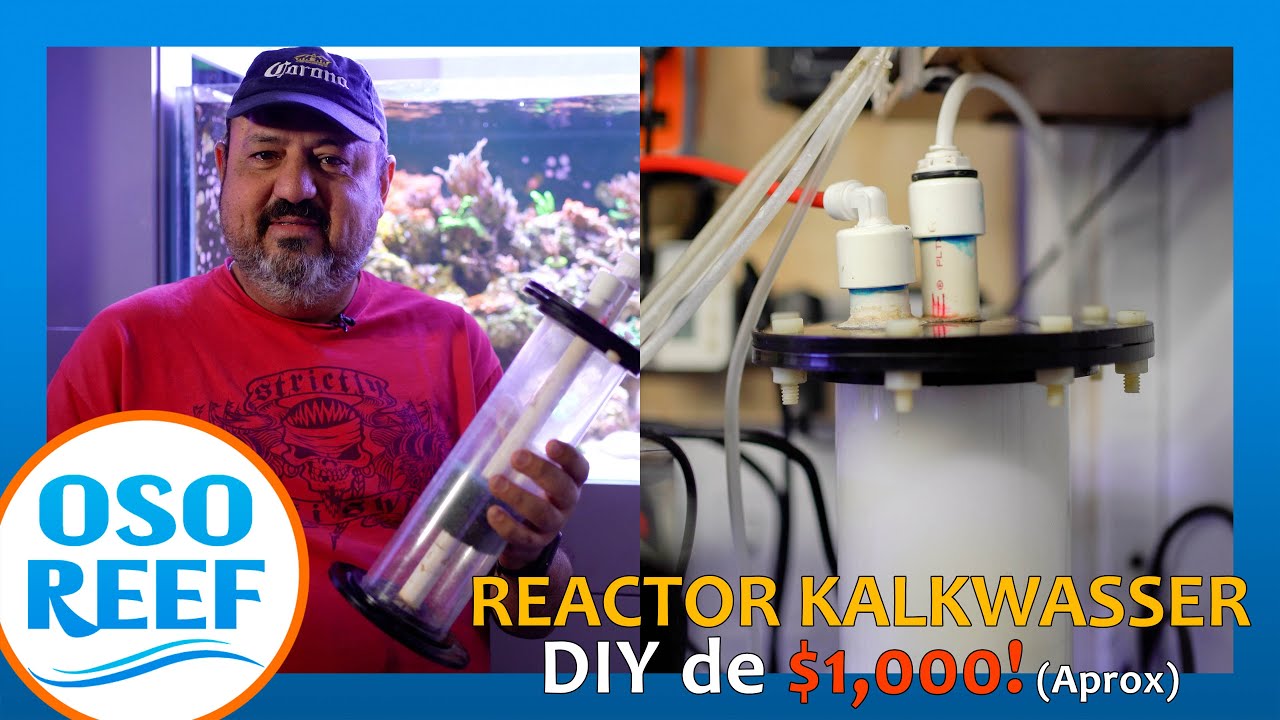 CONVERTIR Reactor de Fosfatos a Reactor de Kalkwasser DIY