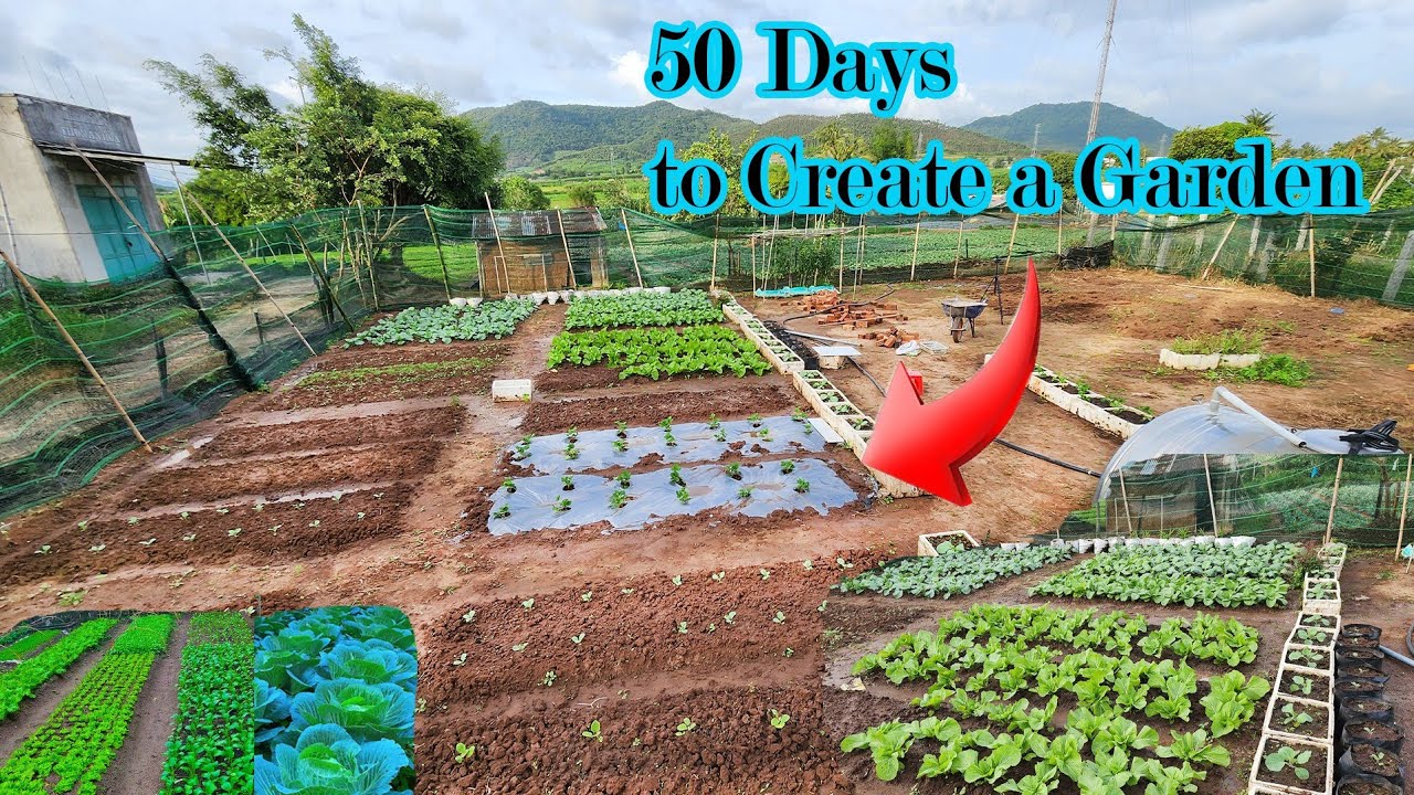 50 Days How to Create a Garden for Beginners