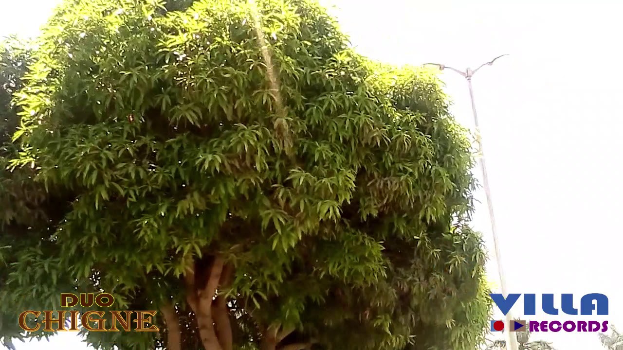 DÚO CHIGNE *QUE ES ESO QUE SUENA***