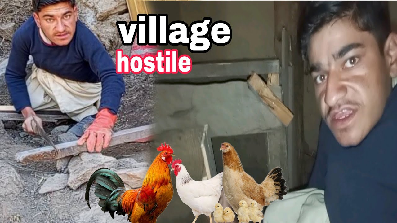 Making a Traditional Cage for Roosters | Enjoyable Village Day shani Mir #kashmir #beautifull