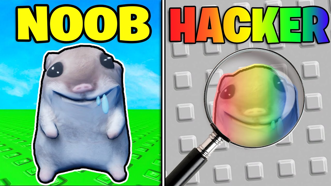 Trouver TOUS LES HAMSTERS dans find the hamsters Roblox