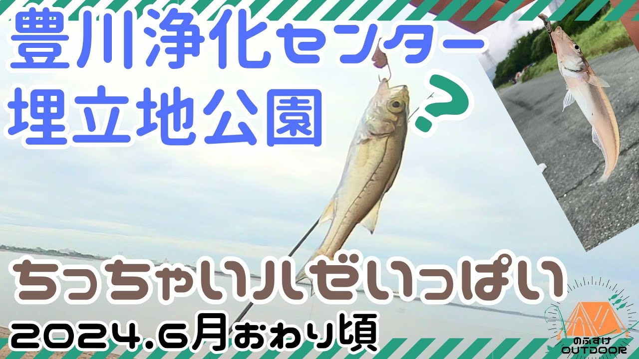 豊川浄化センター埋立地公園でちょい投げキス釣り！ちっちゃいハゼ多し…堤防も行ってみました。