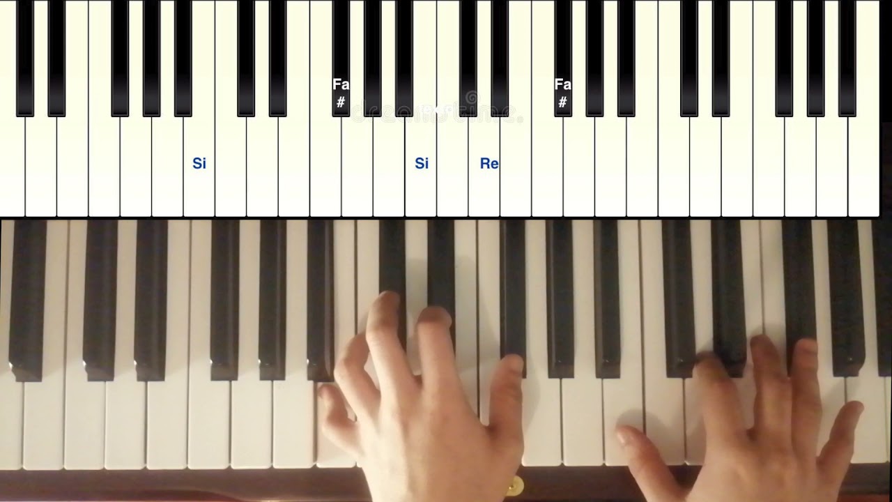 Carla Morrison - Te regalo | TUTORIAL