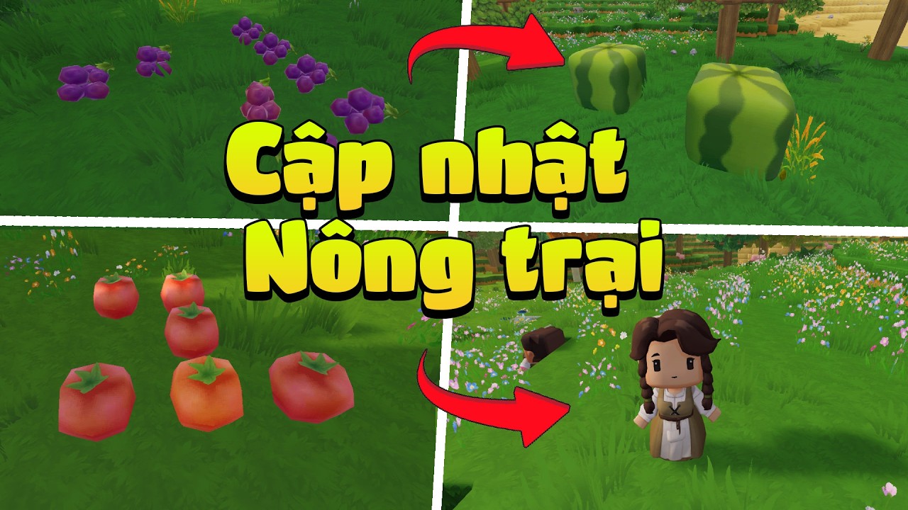 Cập nhật nông trại mới trong sinh tồn Mini World