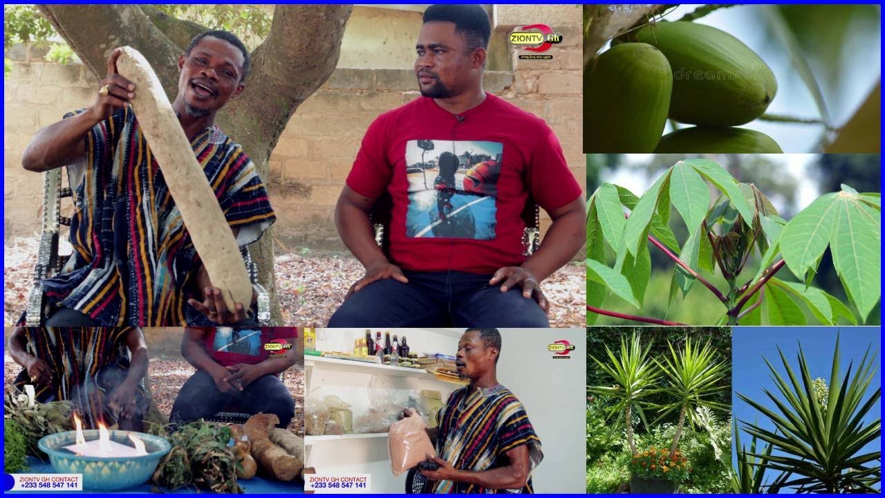 Dr. Appiah Teaching Herbal Medicines| Top Best Healing Medicinal Herbs,  Physical and Spiritual Uses