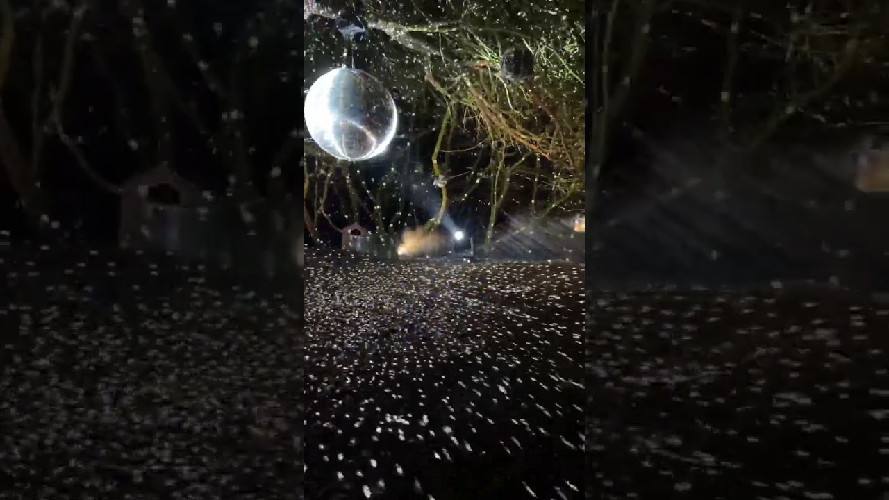 Magic is everywhere if you look for it. From Enlightened at Hylands Estate Light Trail, Chelmsford