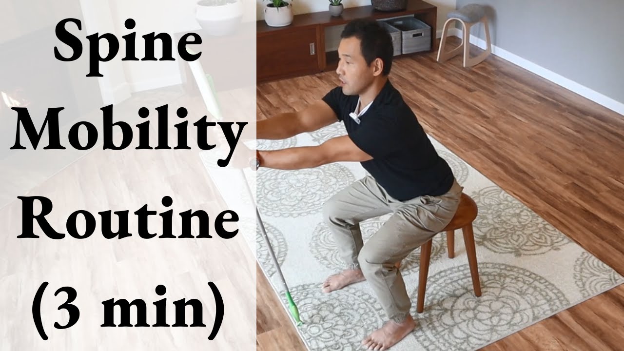 3 Minute Spine & Hip Mobility Routine For Posture l Feldenkrais Style