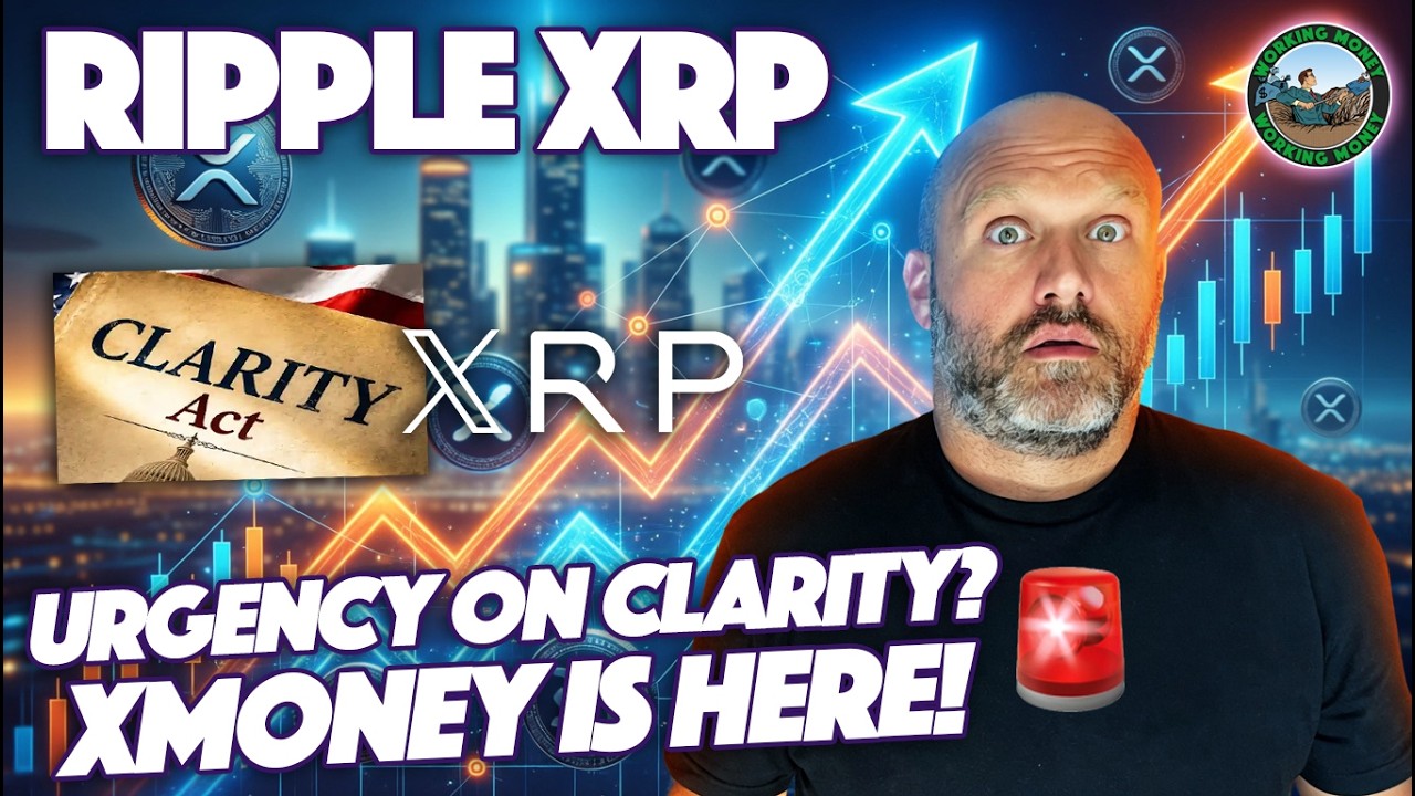 Ripple XRP: Скользкая дорожка для CLARITY, и XMoney уже здесь. Что они выберут: XRP или XLM?