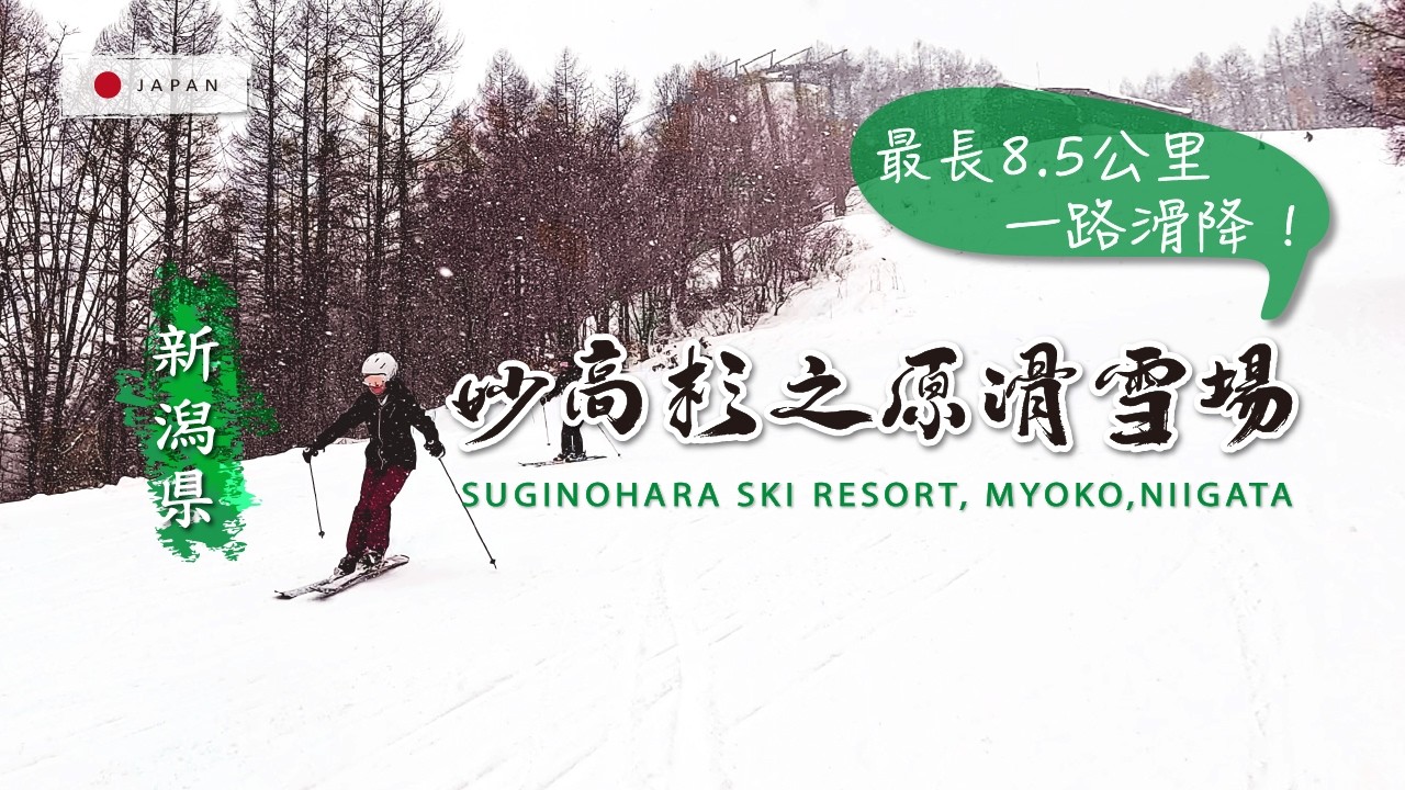 妙高杉之原滑雪場-⛷️雪道人超少!練功好地方，雪道最長8.5公里，一路狂飆刷新速度感！各種程度都友善的雪場~妙高杉ノ原