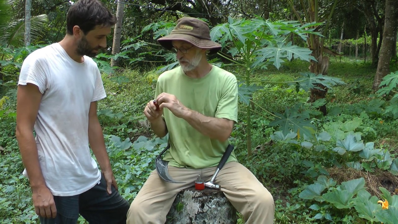 Scything - Peening your Scythe Blade with Alexander from scytheworks.com