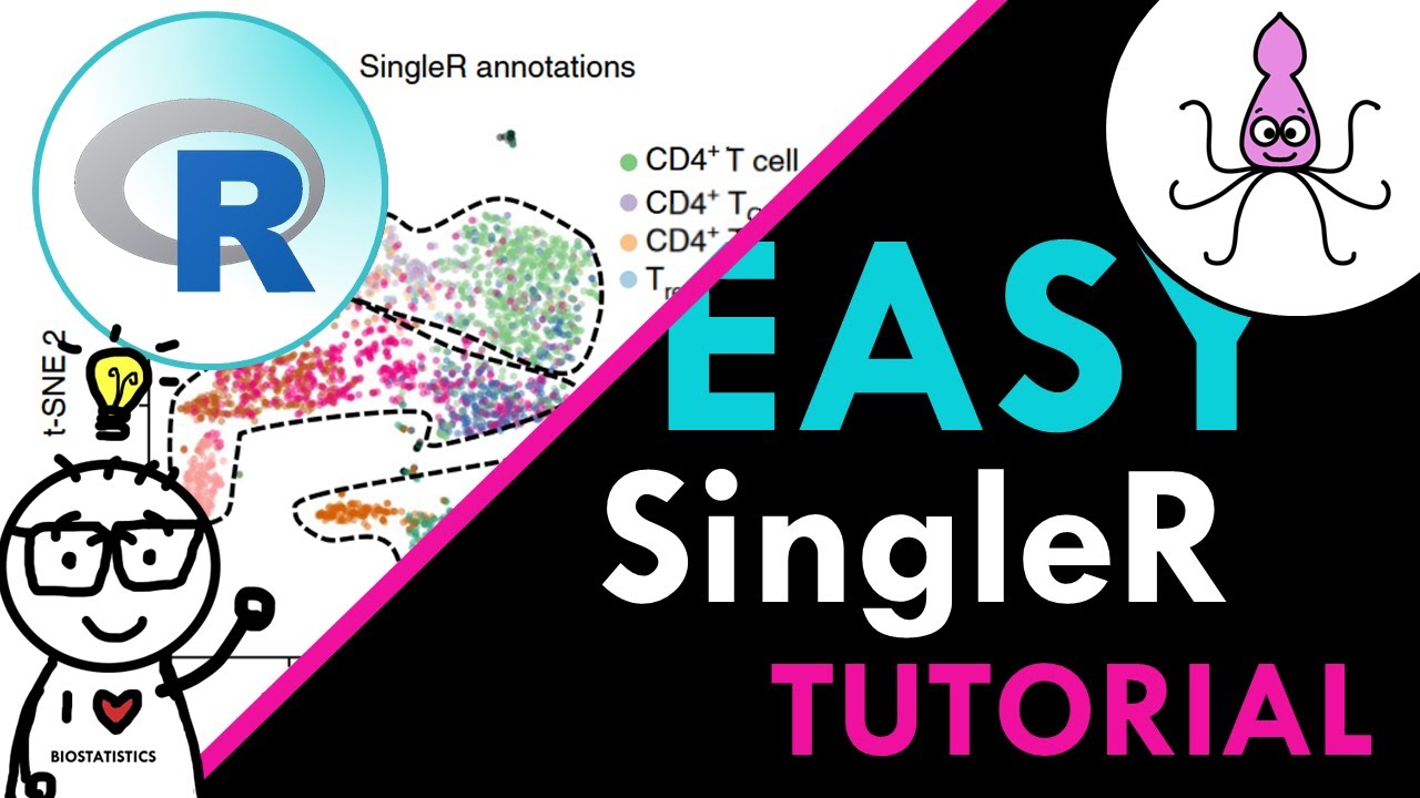 SingleR EASY TUTORIAL: step-by-step cell type annotation in R
