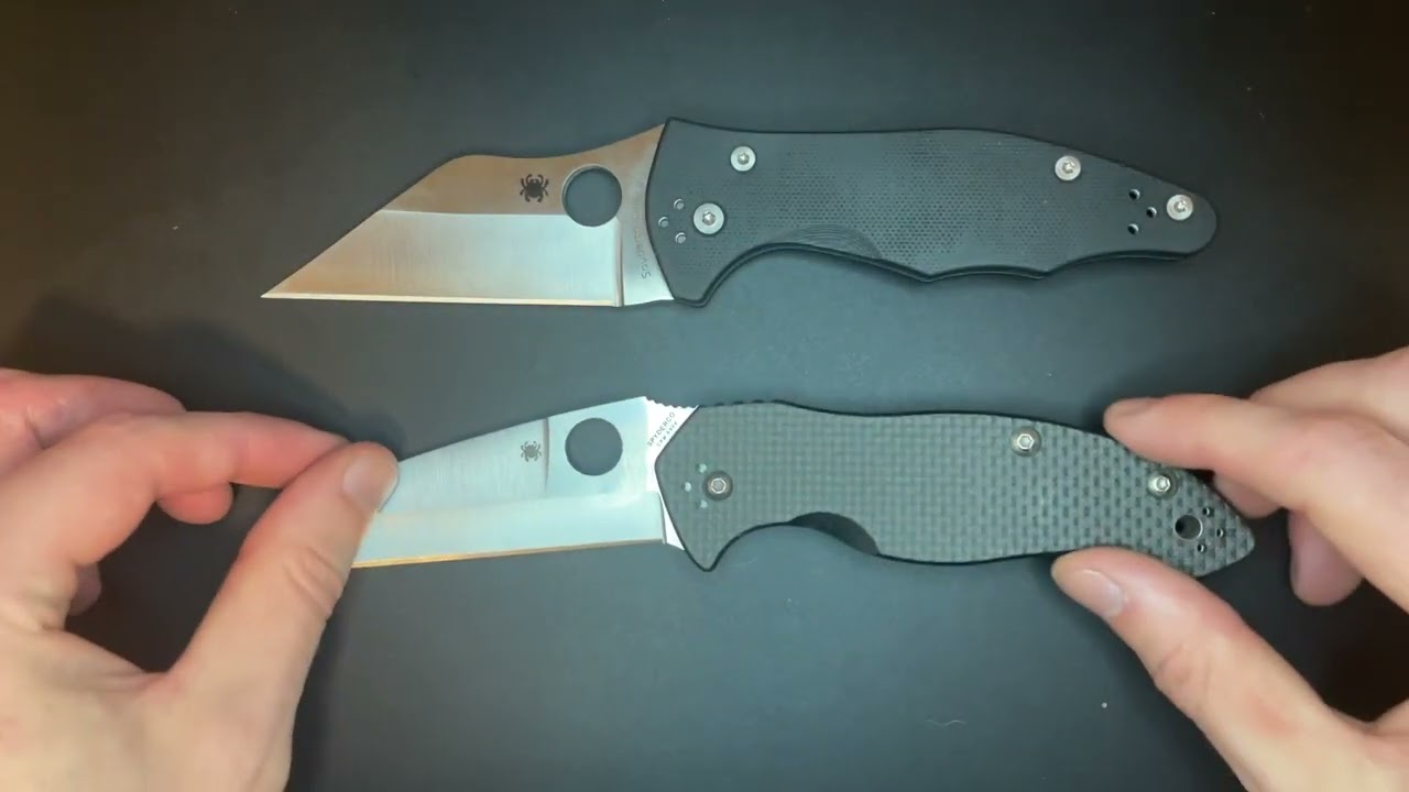Spyderco Canis Review
