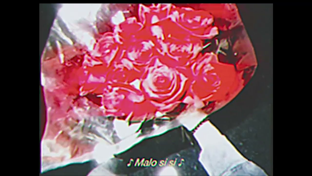 High Soul - MALO ft. Castro Kush [Visualizer]