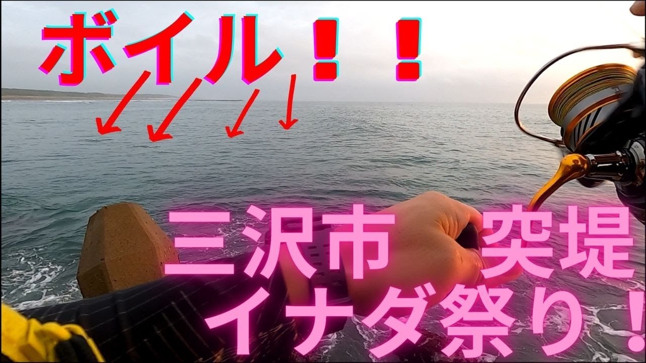 青森県三沢市の突堤で青物釣り！　イナダ祭り！！