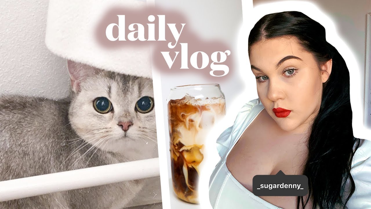 můj život teď když mám KOČKU | DAILY VLOG | SugarDenny
