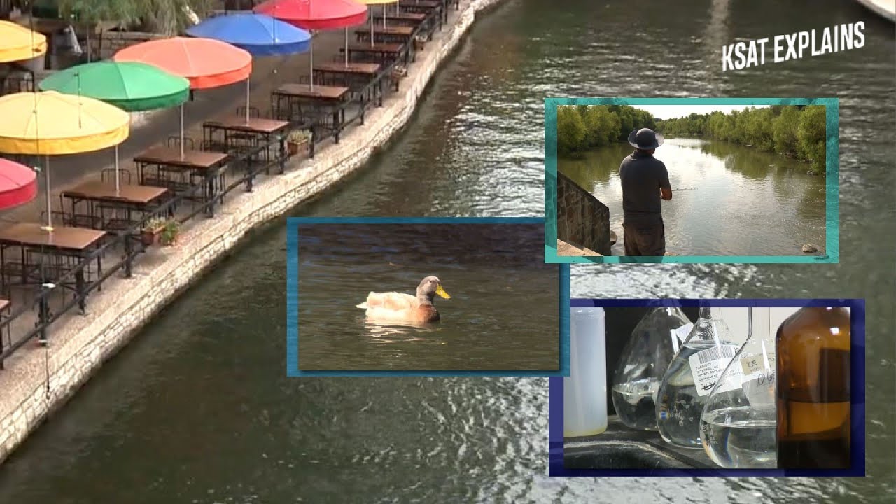 Will the San Antonio river ever be swimmable? KSAT Explains