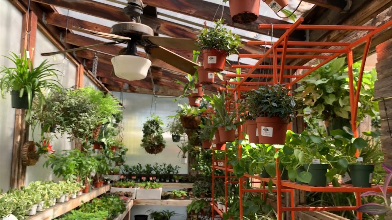 INCREDIBLE NURSERY- MUST WATCH!