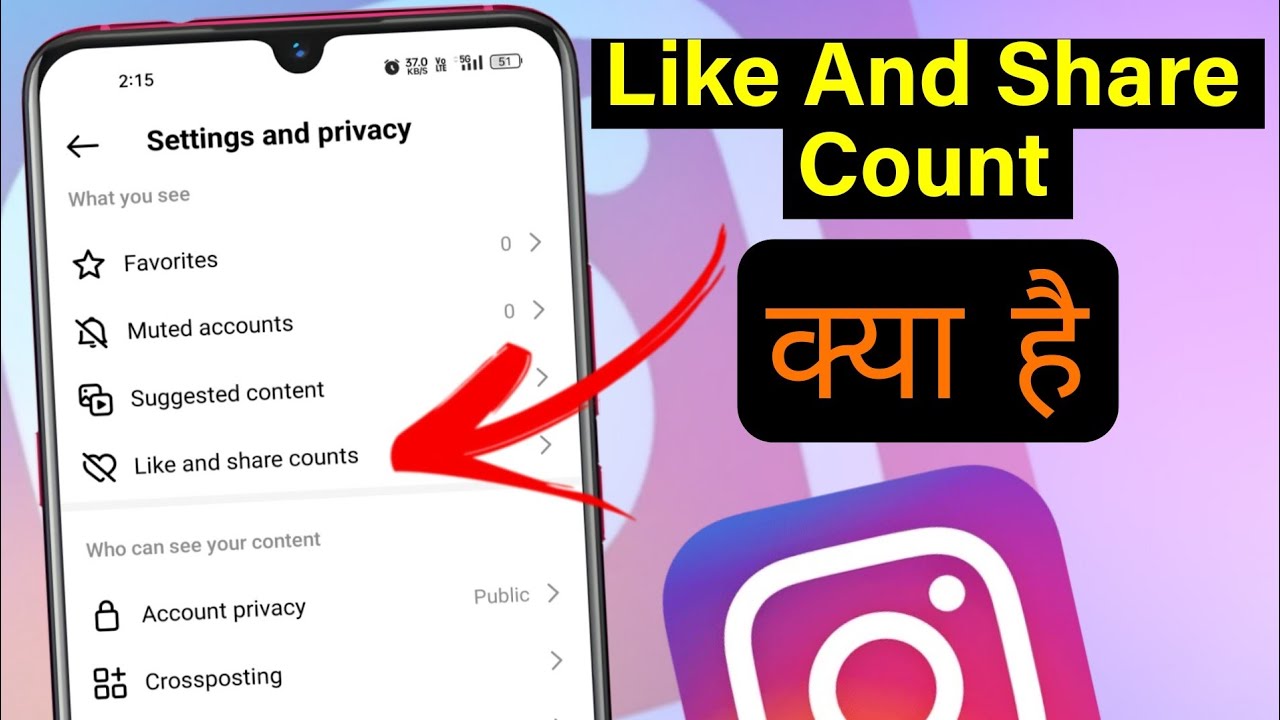 what is hide like count on instagram | hide like count ka matlab