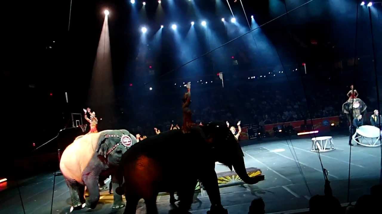 ringling bros barnum & bailey circus fully charged here come the elephants