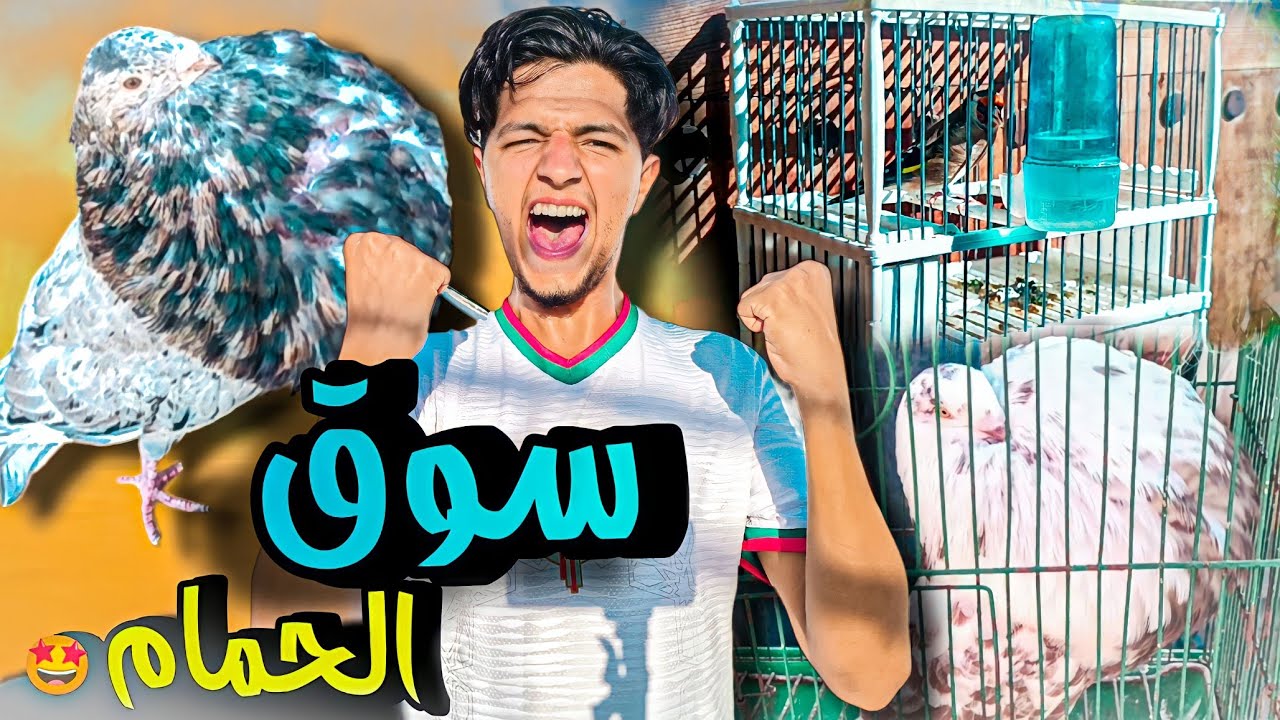 مشيت السوق الحمام والطيور 🦜 باب الكيسه فاس 🤩 اثمنه 🤔 شنو شريت...