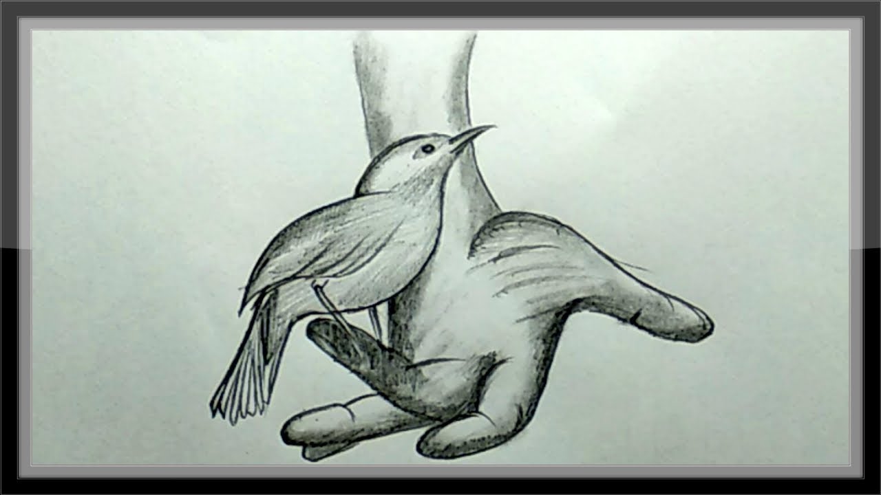 Pencil Drawing A Beautiful Picture Easy For Beginners