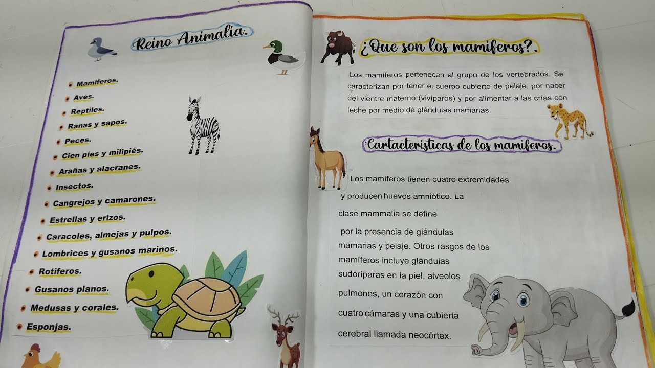REVISTA PASO A PASO DEL MUNDO ANIMALIA/ REVISTA A MANO FACIL DE HACER