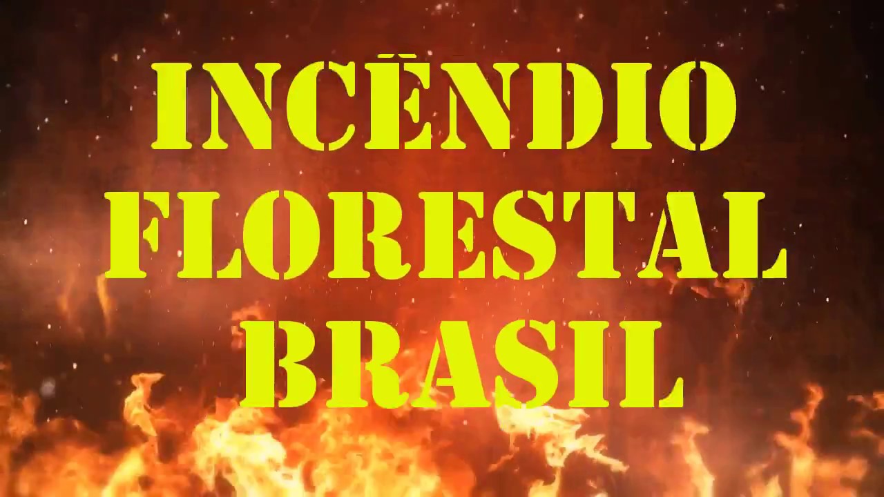 Utiliza&ccedil;&atilde;o de Soprador no Combate a Inc&ecirc;ndios Florestais