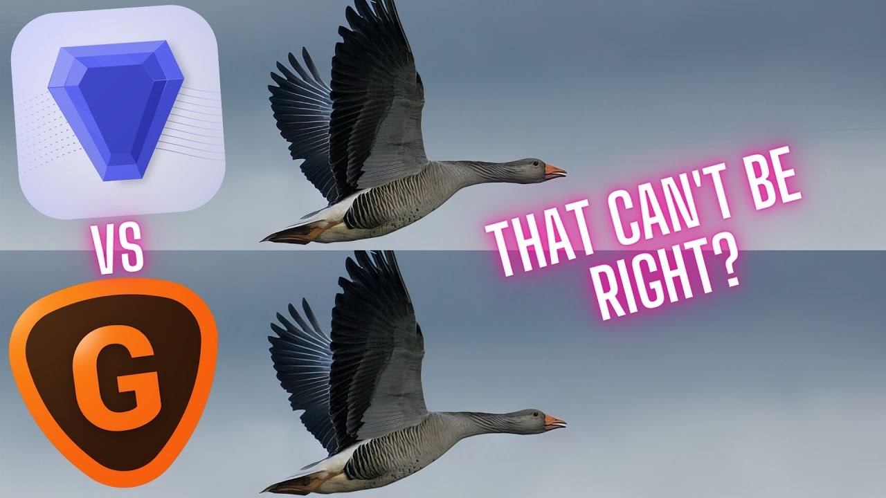 Topaz Gigapixel AI vs Topaz Photo AI Review, seriously Topaz?
