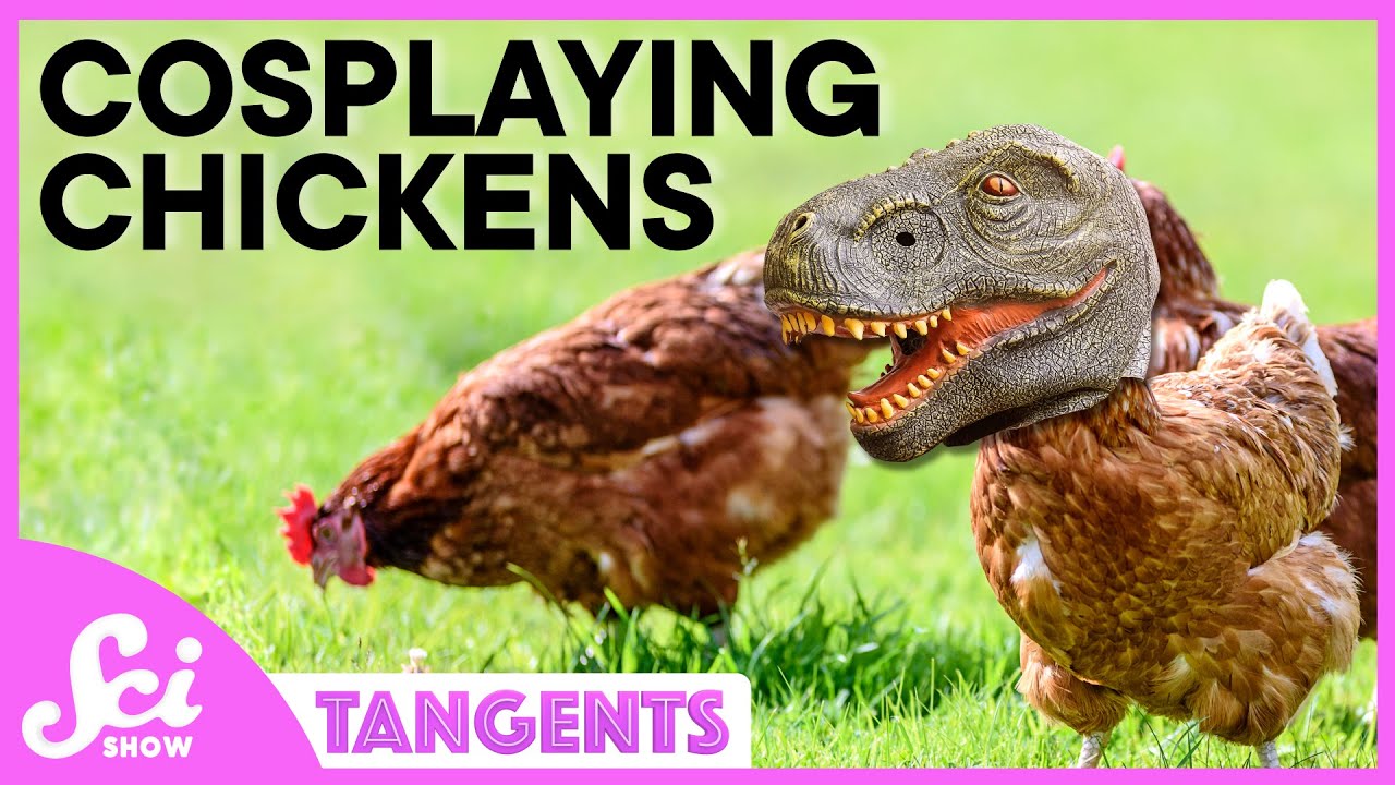 Dinosaurs | SciShow Tangents Podcast
