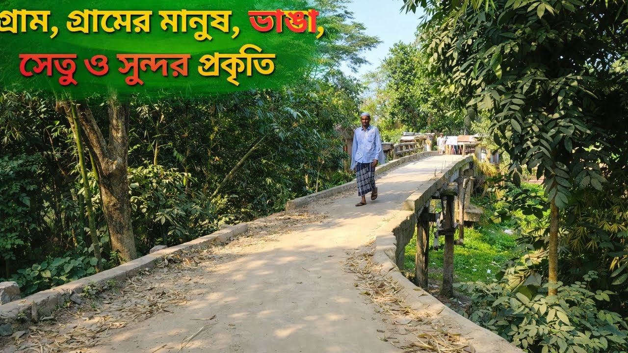 বাংলাদেশের গ্রাম, গ্রামের মানুষ জন,  কৃষক, ভাঙা সেতু ও সুন্দর প্রকৃতি | Countryside Of Bangladesh